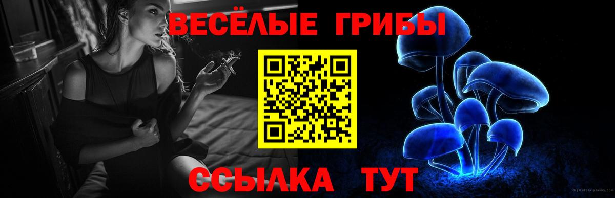 Псилоцибиновые грибы мухоморы  Вход с VPN  Отрадное 